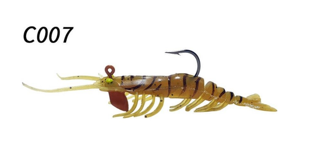 Osaka Caridina Shrimp Karedes