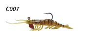 Osaka Caridina Shrimp Karedes