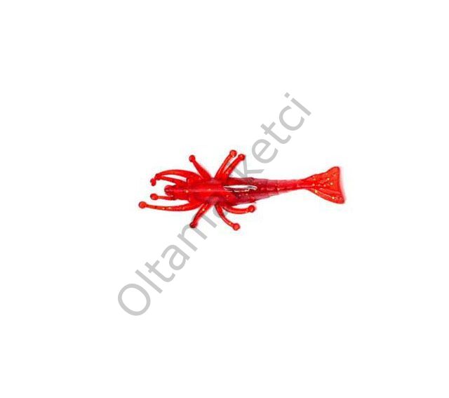 Sea Horse Karides Zokalı Küçük (K1)