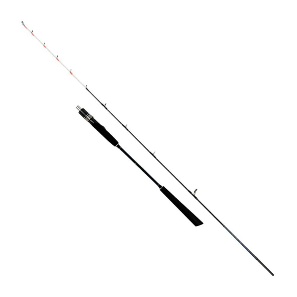 Sea Horse Star Slow Jigging 1,68 M 20-250 Gr