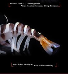NEW Osaka Caridina Shrimp TPE Yumuşak Karides
