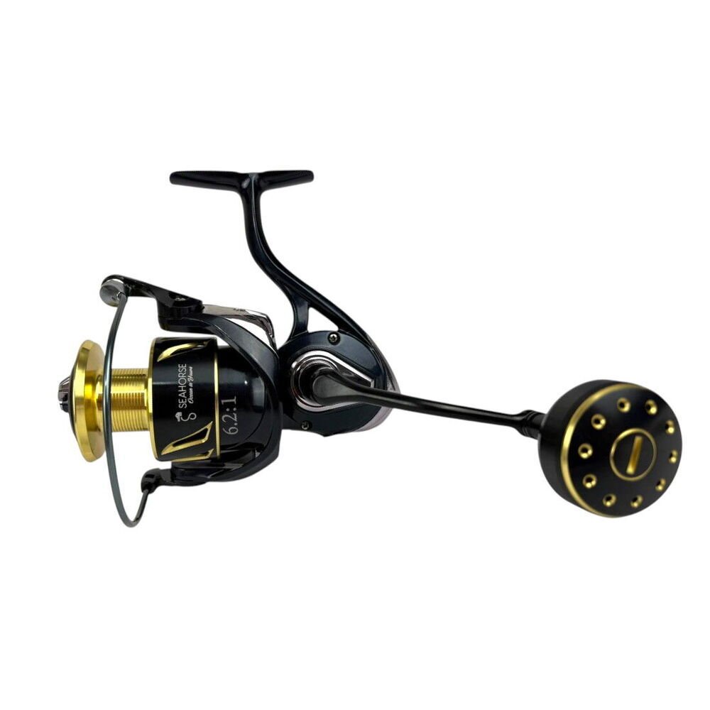 Sea Horse Raiden Sky Big Game 6000