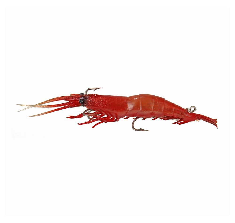 Baracuda Simplex Karides Adet L02